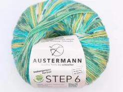 Austermann Step 6