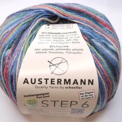 Austermann Step 6