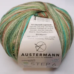Austermann Step 6