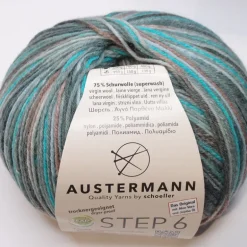Austermann Step 6