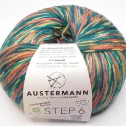 Austermann Step 6