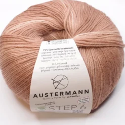 Austermann Step 6