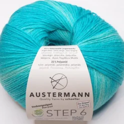 Austermann Step 6