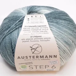 Austermann Step 6