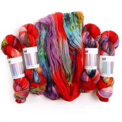 Hedgehog Fibres Sock Minis