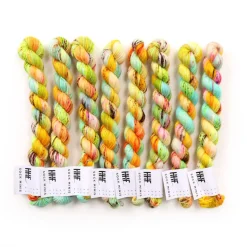Hedgehog Fibres Sock Minis