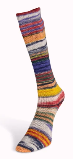 Laines du Nord Eclectic Sock