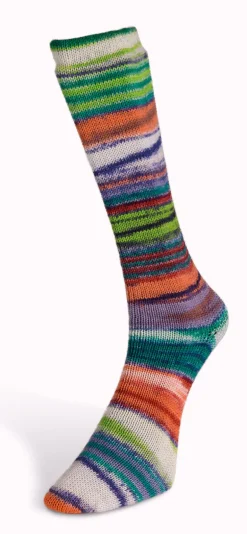 Laines du Nord Eclectic Sock