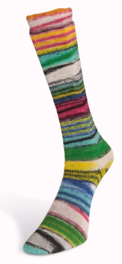 Laines du Nord Eclectic Sock