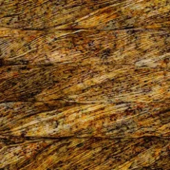 Malabrigo Mechita