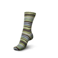 Regia Spring Fling Color 4 ply
