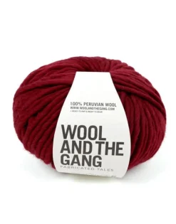 WOOL AND THE GANG, Crazy Sexy Wool
