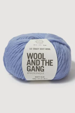 Wool And The Gang Lil Crazy Sexy Wool